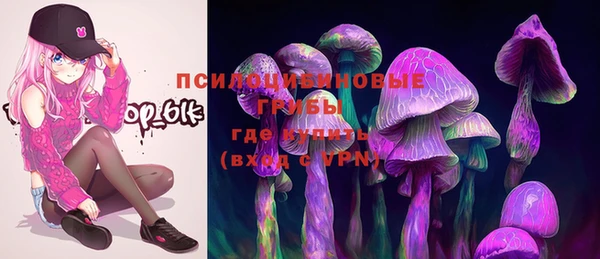 a pvp Дмитриев
